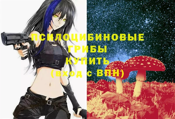 стафф Бородино